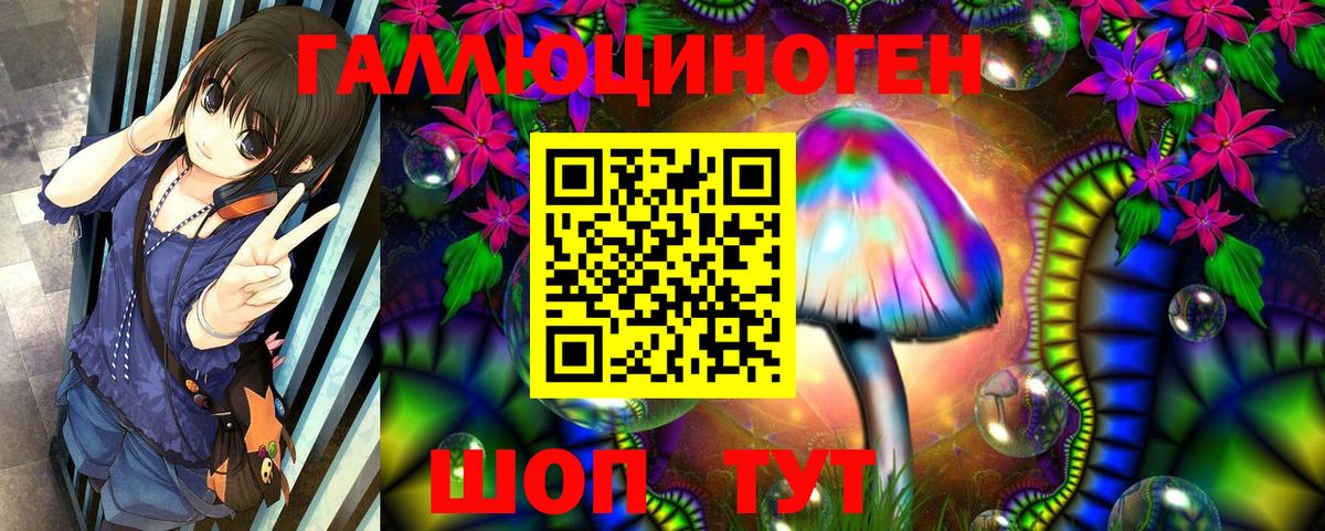 Псилоцибиновые грибы мухоморы  Вход с VPN  Находка 