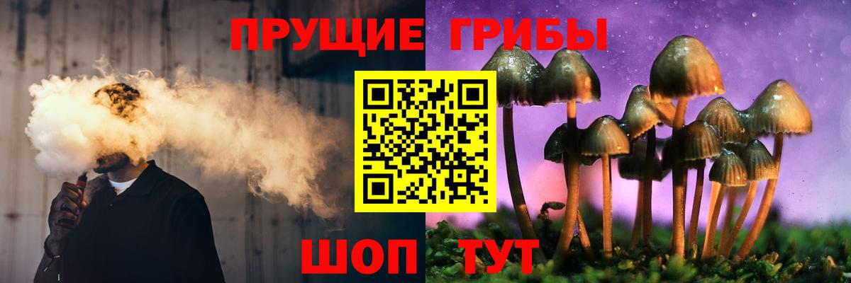 Галлюциногенные грибы мицелий Находка